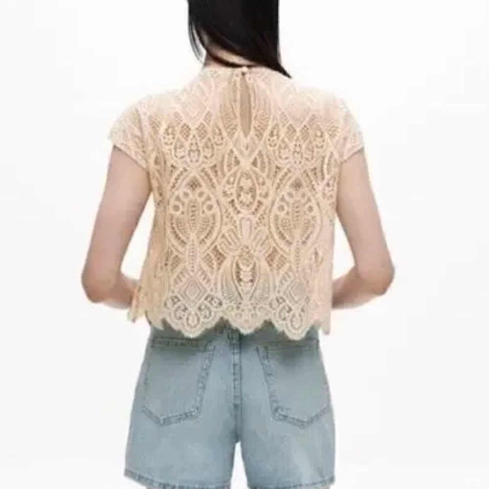 NEW Zara Ruffle Lace Cream Top Large - Picture 6 of 6